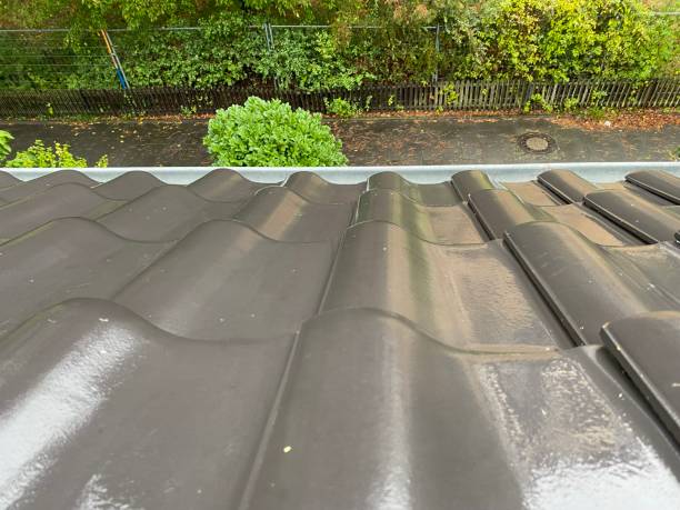 istock Roof tiles in grey 1423602871