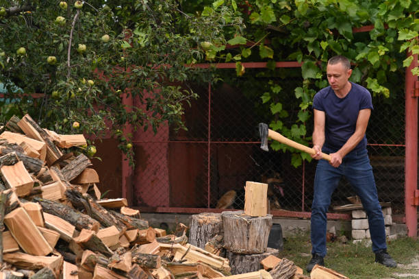 istock a lumberjack is chopping wood. 1423603418
