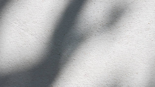istock Black and White abstract background texture of shadows leaf on a concrete wall. 1423605098
