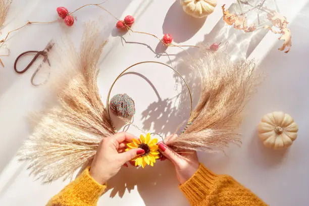 Hands making dried floral wreath from dry pampas grass and Autumn leaves. Hands in sweater with manicured nails tie decorations to metal frame. Flat lay on white table, sunlight with long shadows.