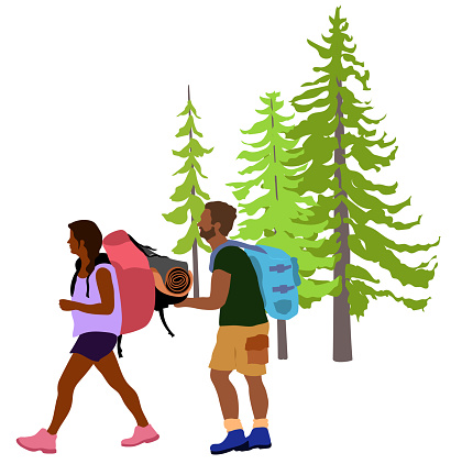 Hiking couple carrying backpacks in this flat design illustration with pine trees in the background