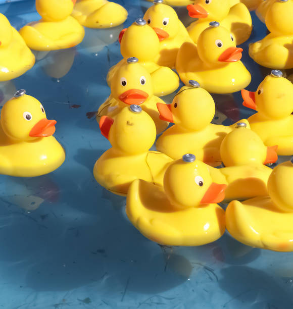 istock Selective focus. Many yellow rubber ducks swimming in circles in a pool. 1423609785