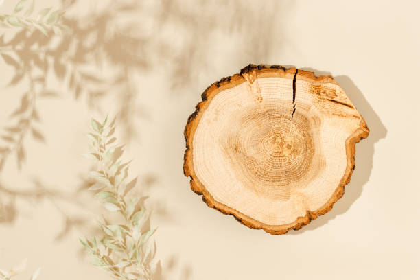 istock Aesthetic wooden podium top view with leaves shadows 1423610568