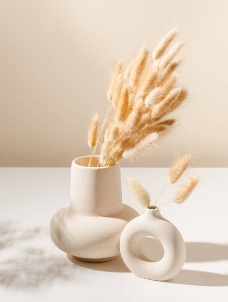 ceramic beige vase aesthetic composition with dry lagurus grass and shadows - cut flowers white small still life imagens e fotografias de stock