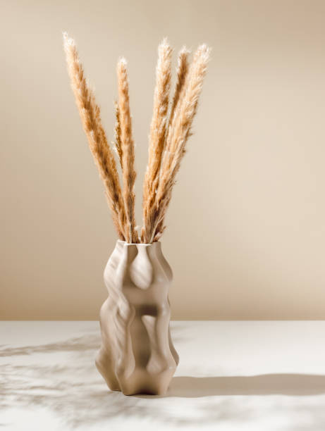 istock Ceramic stylish vase with dry pampas grass or reed with shadows 1423610835