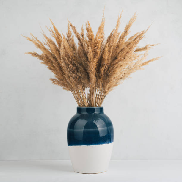 istock Dry pampas grass in a vase 1423613061