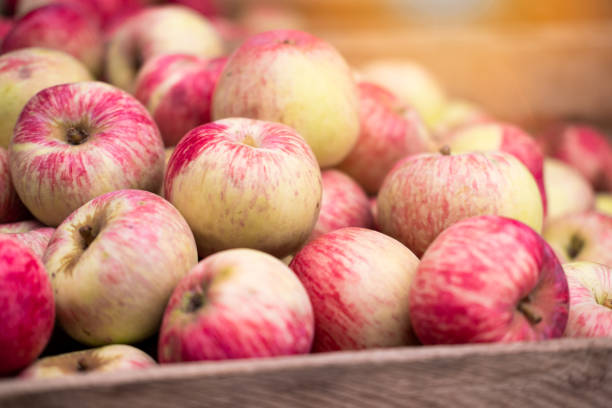 wooden box full of apples industry