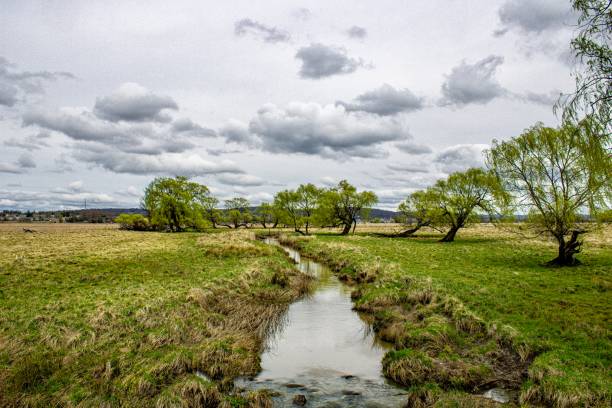 istock Furracabad Creek 1423617783