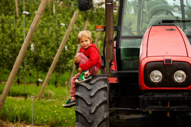 istock Apple tree plantations in Norway, summertime, child checking the apples 1423621479