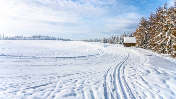 istock Cross country skiing track on sunny day 1423621861