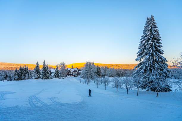 istock Winter evening on Nova louka in Jizera Mountains 1423622243