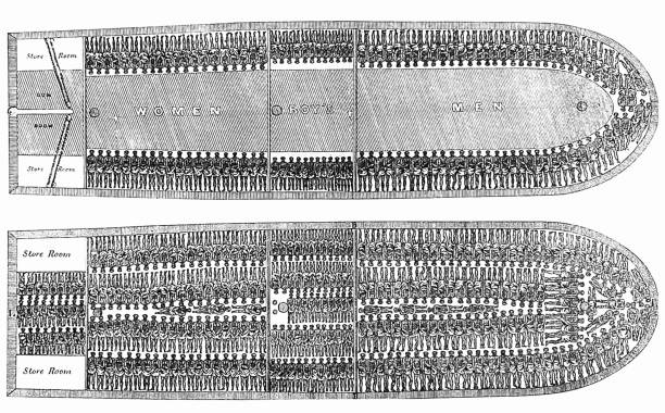 ilustrações, clipart, desenhos animados e ícones de brookes, navio negreiro inglês com capacidade para 300 escravos - slave labor