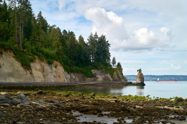 Siwash Rock and the rocky beach on the west side of Stanley Park with freighters in English Bay. Vancouver, British Columbia, Canada.