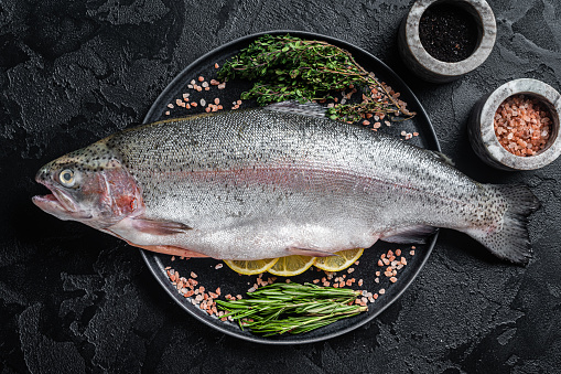 Raw Sea trout, fresh fish on a plate with herbs. Black background. Top view.