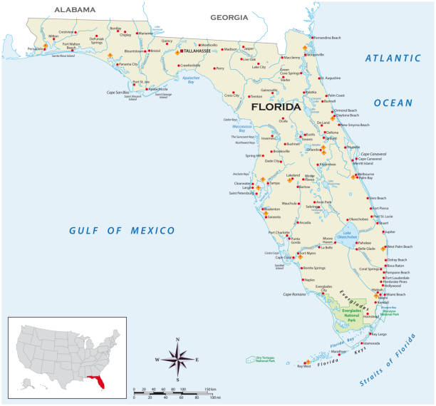 высокодетализированная физическая карта американского штата флорида - florida cartography map florida keys stock illustrations