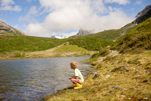 Child, standing on the edge of a lake on a sunny day in Norway, summertime