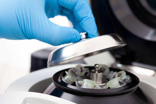 istock Closeup of a scientist closing an small table centrifuge filled with tubes. Spin column-based nucleic acid purification technique. Diagnosis of human papillomavirus virus infection. 1423640963