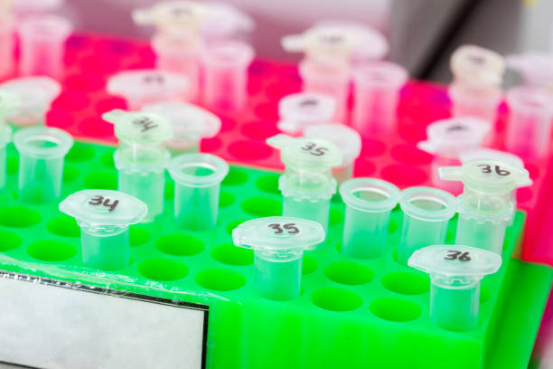 istock Rack of test tubes being used for DNA extraction using the spin column-based nucleic acid purification technique 1423641000