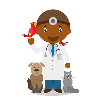 Cute cartoon vector illustration of a black or african american male veterinarian.