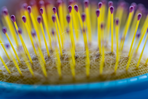 Selective focus on bristles of a hairbrush with tangled hair