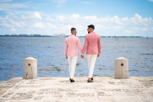 Affectioned gay couple walking towards the sea