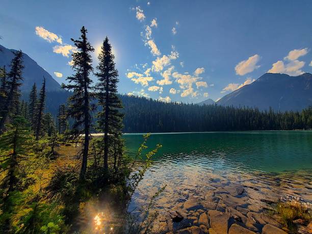 istock Cavell Lake in Jasper National Park Canada 1423654156