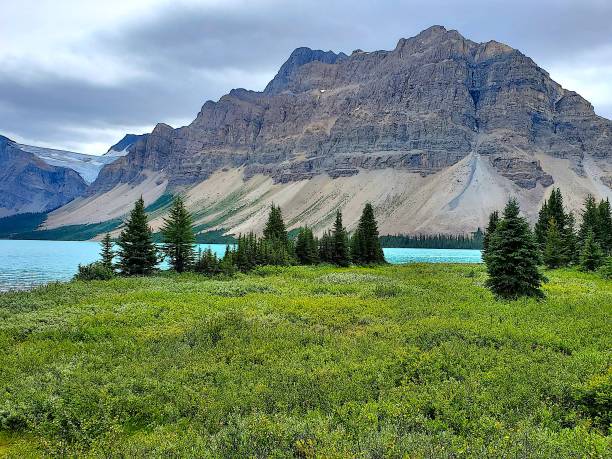 istock Bow Lake in Banff National Park 1423654411