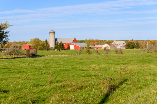 istock Farm with colourful autumnal forest in background at sunset 1423664478