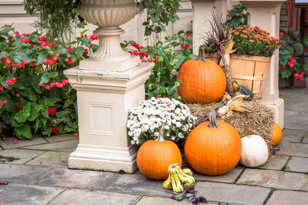 Halloween decorations with pumpkins, hay and  flowers on the pavement in front of a house in a city centre. Niagara on the Lake, ON, Canada.