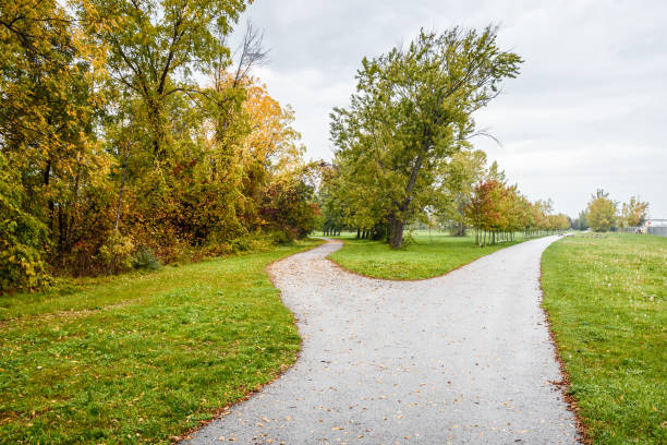For along a deserted path in a park on a cloudy autumn day
