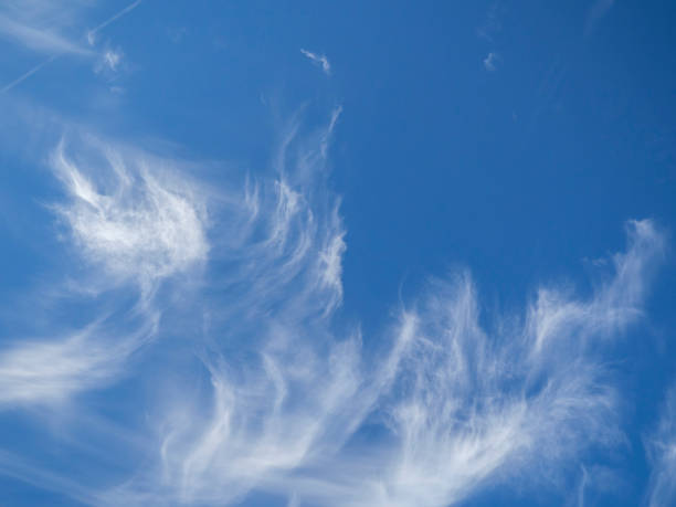 istock Image of the sky, clouds. Natural background 1423666742