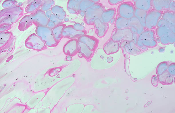 istock Hand painted background.  Mixed acrylic paints. Liquid marble texture. 1423668273
