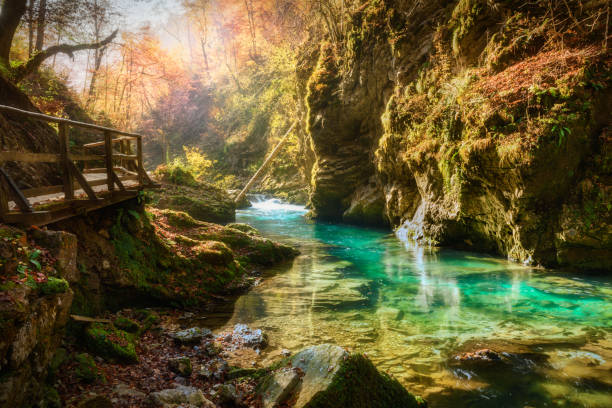 istock Famous canyon of Vintgar Gorge 1423668447