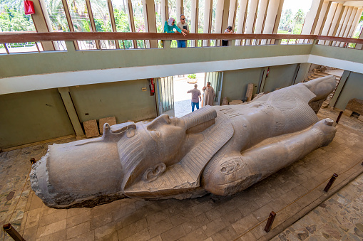 Memphis, Egypt - July 19, 2022: The ruins of ancient Memphis have yielded a large number of sculptures representing Rameses II. Within the museum in Memphis is a giant statue of him carved in monumental limestone, about 10 metres in length. It was discovered in 1820 near the southern gate of the temple of Ptah by Italian archaeologist Giovanni Caviglia. Because the base and feet of the sculpture are broken off from the rest of the body, it is currently displayed lying on its back.