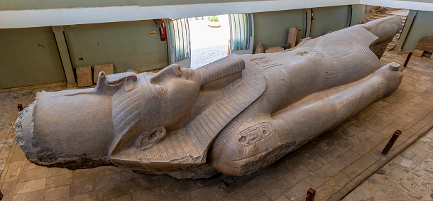 Memphis, Egypt - July 19, 2022: The ruins of ancient Memphis have yielded a large number of sculptures representing Rameses II. Within the museum in Memphis is a giant statue of him carved in monumental limestone, about 10 metres in length. It was discovered in 1820 near the southern gate of the temple of Ptah by Italian archaeologist Giovanni Caviglia. Because the base and feet of the sculpture are broken off from the rest of the body, it is currently displayed lying on its back.