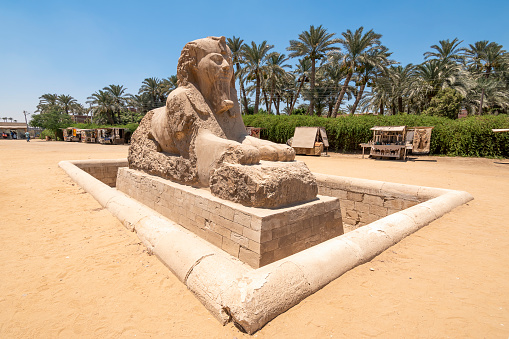 Memphis, Egypt - July 19, 2022: The Sphinx of Memphis is a stone sphinx located near the remains of Memphis, Egypt. It was discovered in 1912 when an affiliate from the British School in America spotted a uniquely carved object jutting out of a sand hill.\nThe carving was believed to take place between 1700 and 1400 BC, which was during the 18th Dynasty. It is unknown which pharaoh is being honored and there are no inscriptions to supply information. The facial features imply that the Sphinx is honoring Hatshepsut or Amenhotep II or Amenhotep III. l.