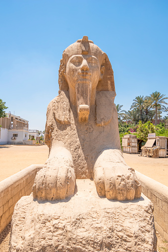 Memphis, Egypt - July 19, 2022: The Sphinx of Memphis is a stone sphinx located near the remains of Memphis, Egypt. It was discovered in 1912 when an affiliate from the British School in America spotted a uniquely carved object jutting out of a sand hill.\nThe carving was believed to take place between 1700 and 1400 BC, which was during the 18th Dynasty. It is unknown which pharaoh is being honored and there are no inscriptions to supply information. The facial features imply that the Sphinx is honoring Hatshepsut or Amenhotep II or Amenhotep III. l.