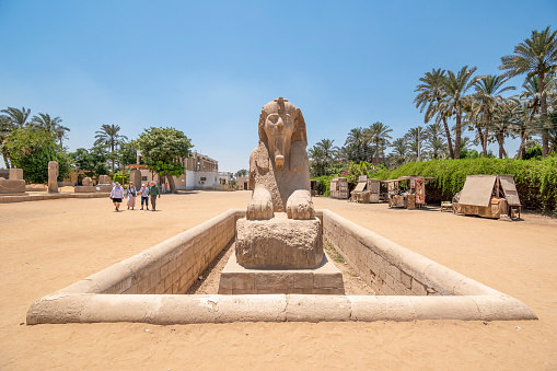 Memphis, Egypt - July 19, 2022: The Sphinx of Memphis is a stone sphinx located near the remains of Memphis, Egypt. It was discovered in 1912 when an affiliate from the British School in America spotted a uniquely carved object jutting out of a sand hill.
The carving was believed to take place between 1700 and 1400 BC, which was during the 18th Dynasty. It is unknown which pharaoh is being honored and there are no inscriptions to supply information. The facial features imply that the Sphinx is honoring Hatshepsut or Amenhotep II or Amenhotep III. l.
