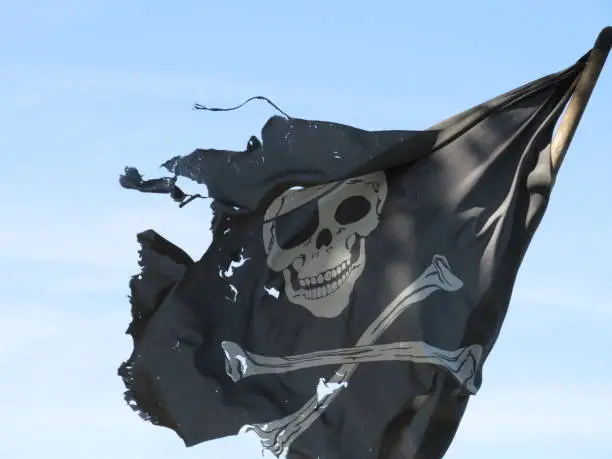 Photo of Pirate flag