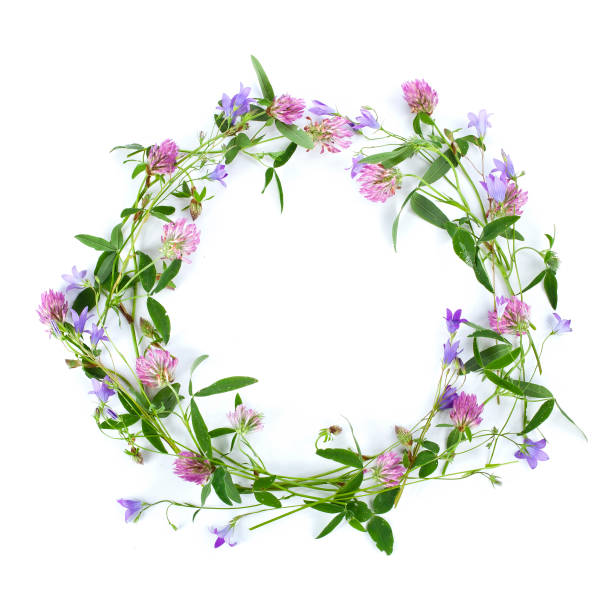 istock Beautiful wreath with colorful flowers 1423681970