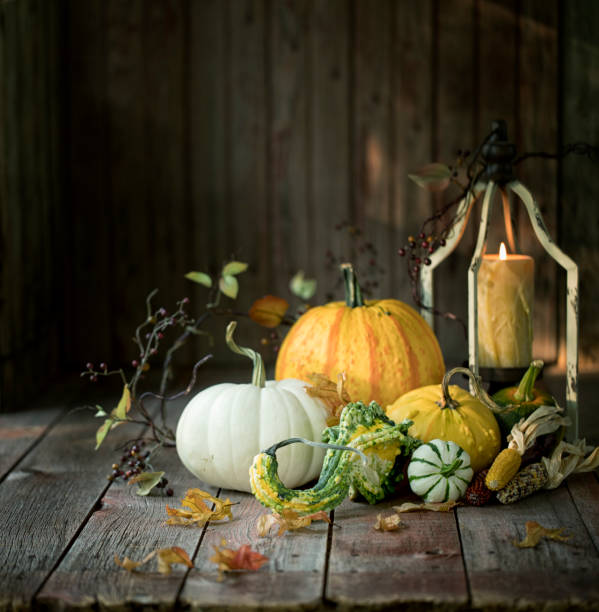 istock Autumn Pumpkins and Gourds 1423690655