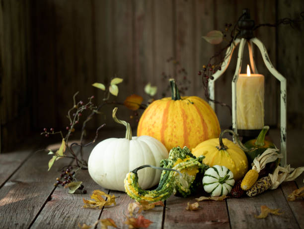 istock Autumn Pumpkins and Gourds 1423690687