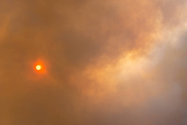 Cloud of smoke from large forest fire passing in front of sun. Montuejols, Aveyron, Cevennes, France.