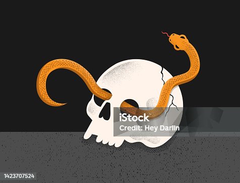 istock Skull with Snake 1423707524