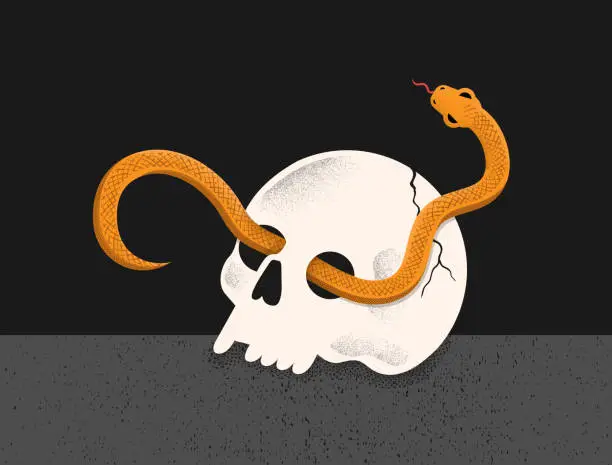 Vector illustration of Skull with Snake