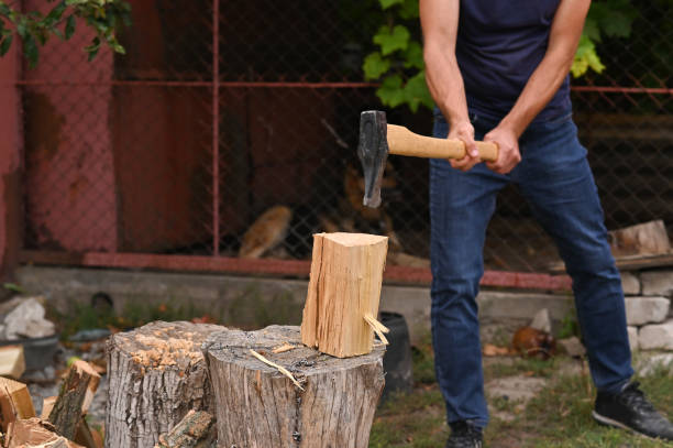 istock lumberjack's heavy axe cut the log into pieces. 1423713855