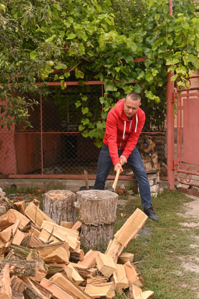 istock lumberjack with an axe is chopping firewood. 1423714064