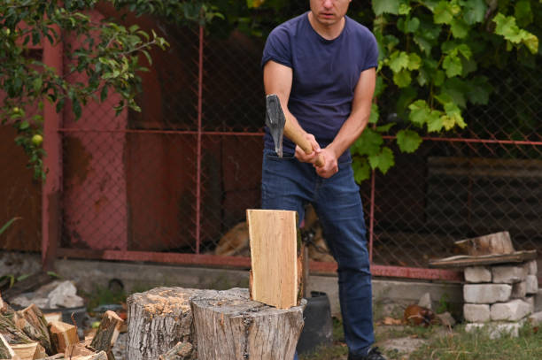 istock A lumberjack is chopping wood with an axe. 1423714363
