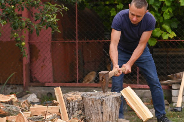 istock a strong man is chopping wood. 1423715118