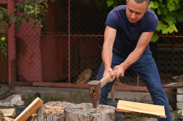 istock A lumberjack is chopping wood. 1423715124